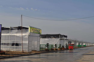 農村這四類建筑會被清理，涉及范圍廣，快看是否影響你家
